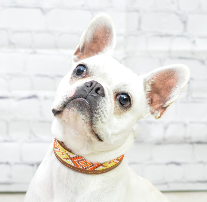 Kinakú Hundehalsband AMBAR XS