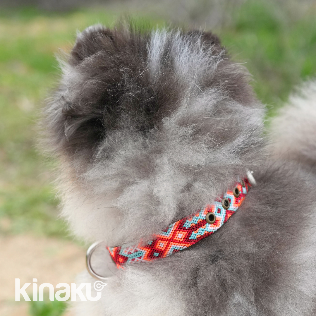 Kinakú Überraschungs-Halsband MAYAN SPIRIT XS assortiert