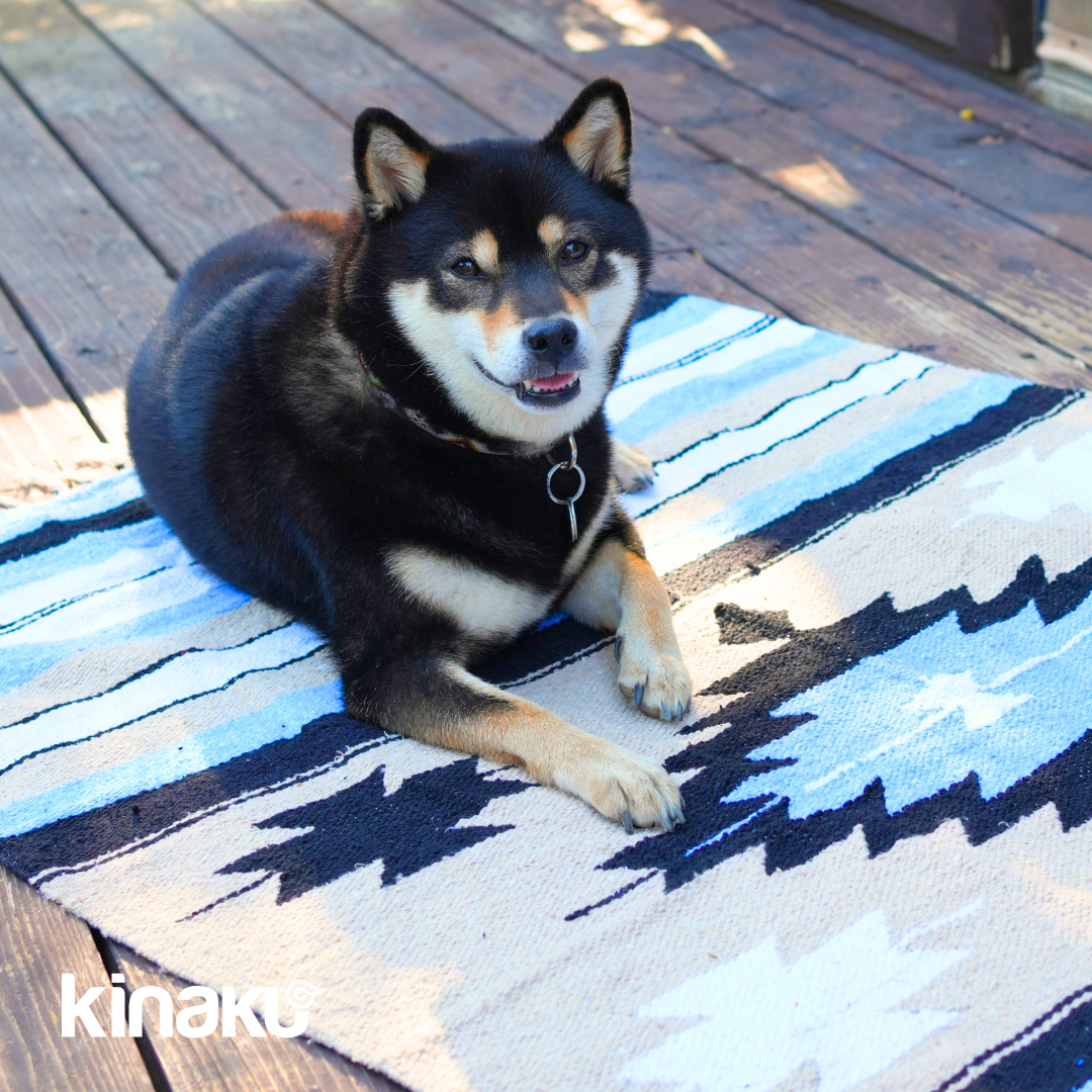 Kinakú Sarape couverture TOLUCA avec sangle