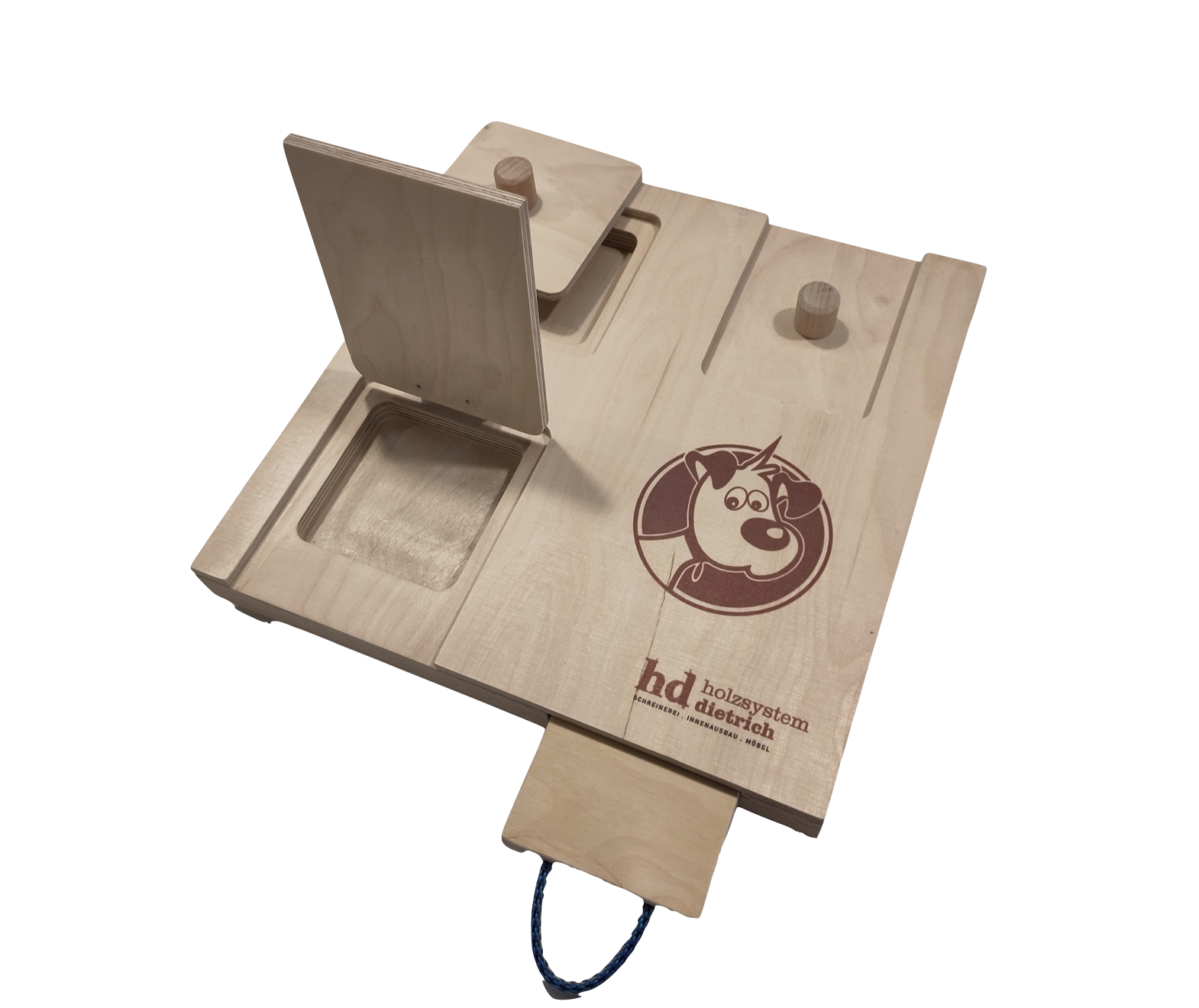 Intelligenzspielzeug 