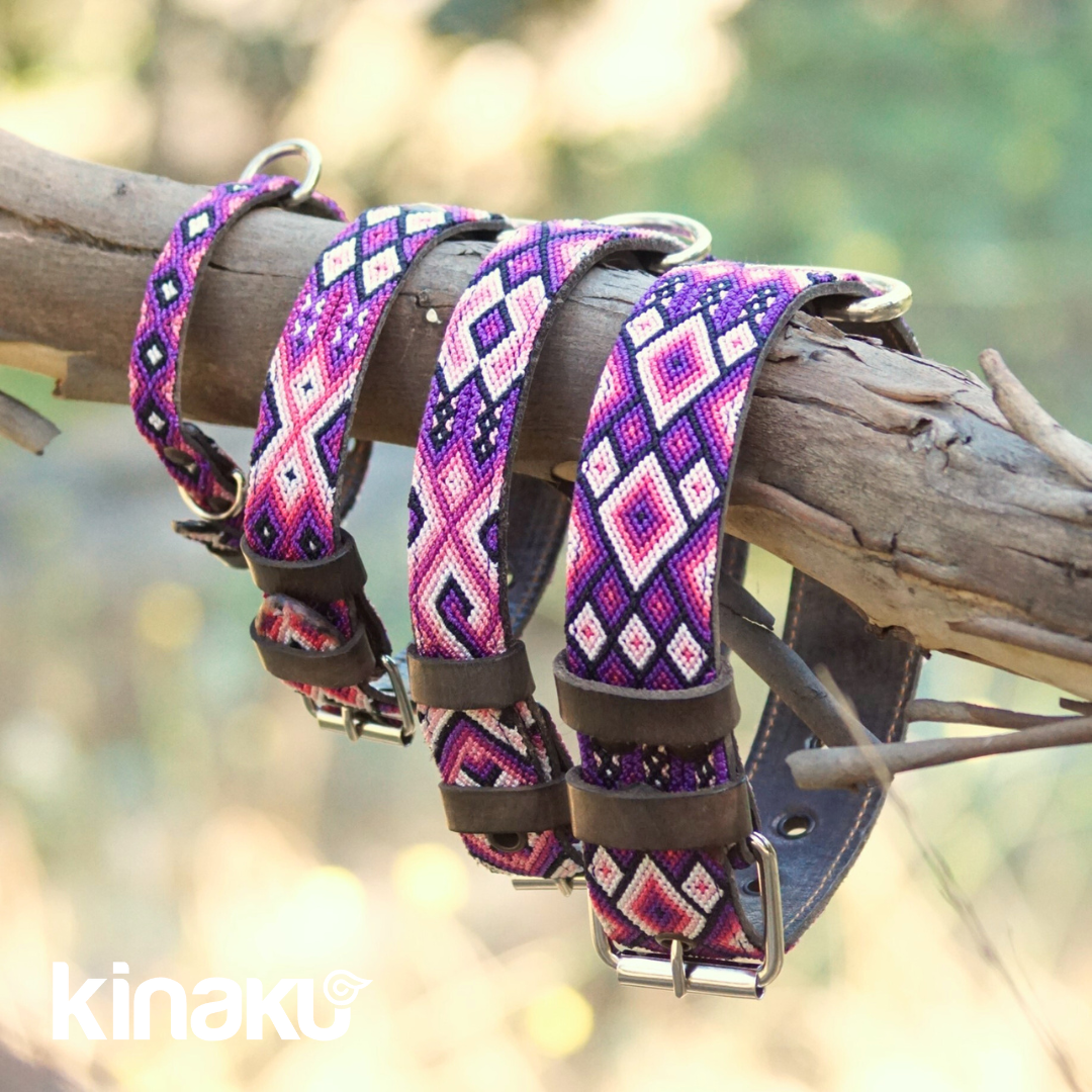 Kinakú Hundehalsband Tonina XS