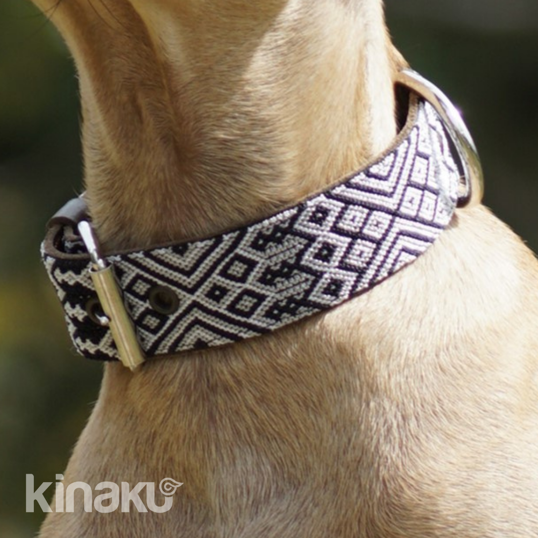 Kinakú Hundehalsband Coba XS