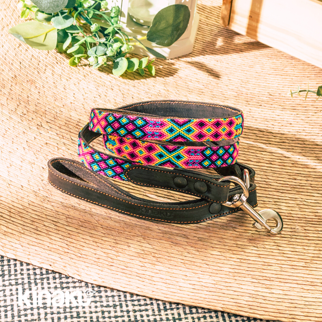 Kinakú Hundeleine Merida XS