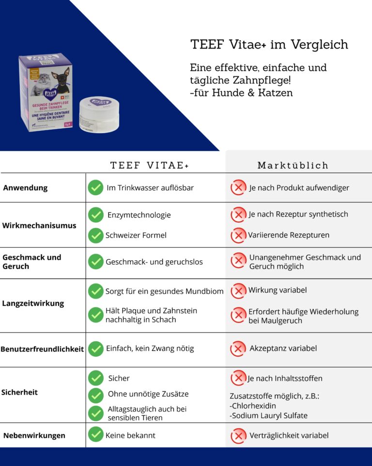 TEEF Vitae+ Zahnpflegepuder 21g