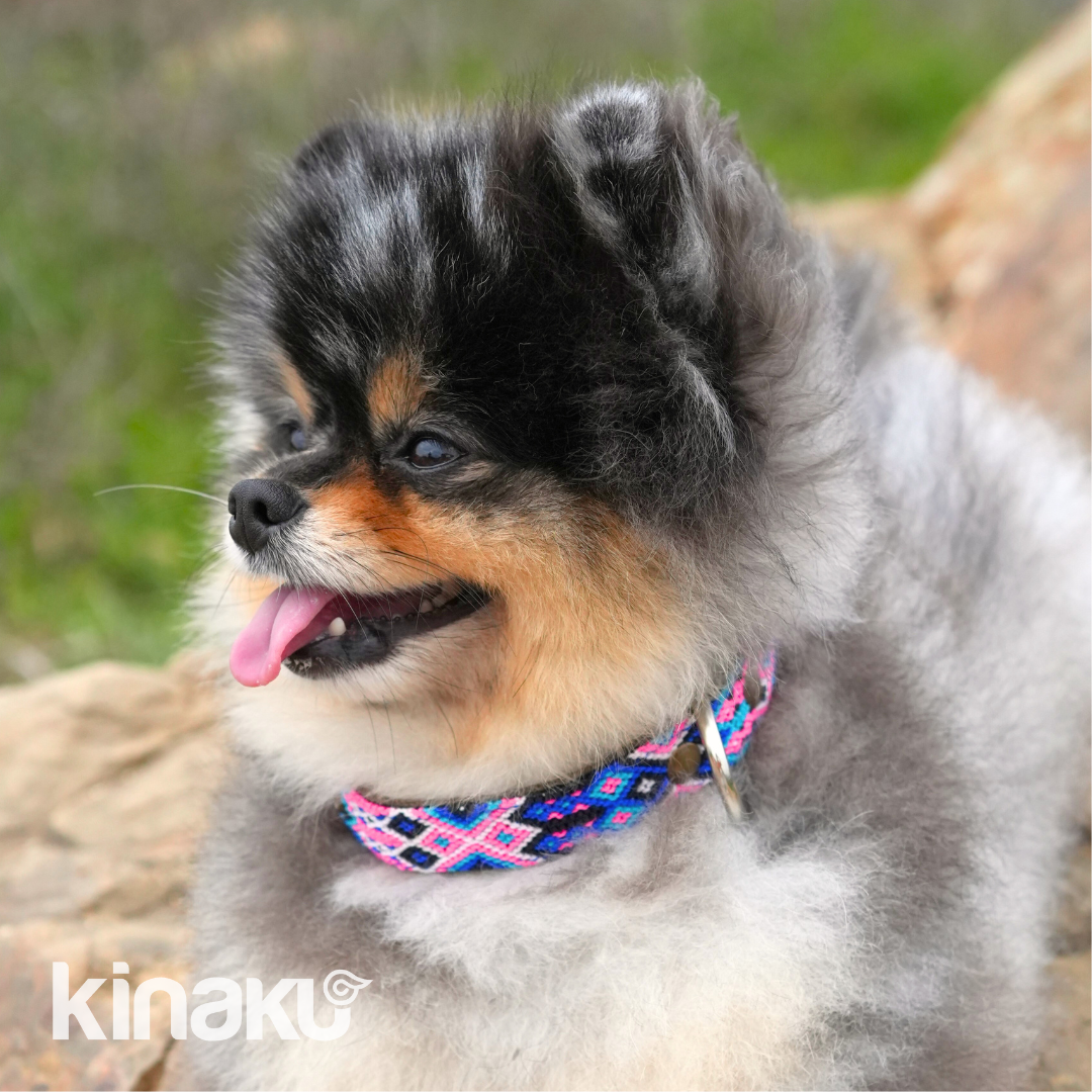 Kinakú Überraschungs-Halsband MAYAN SPIRIT XS assortiert