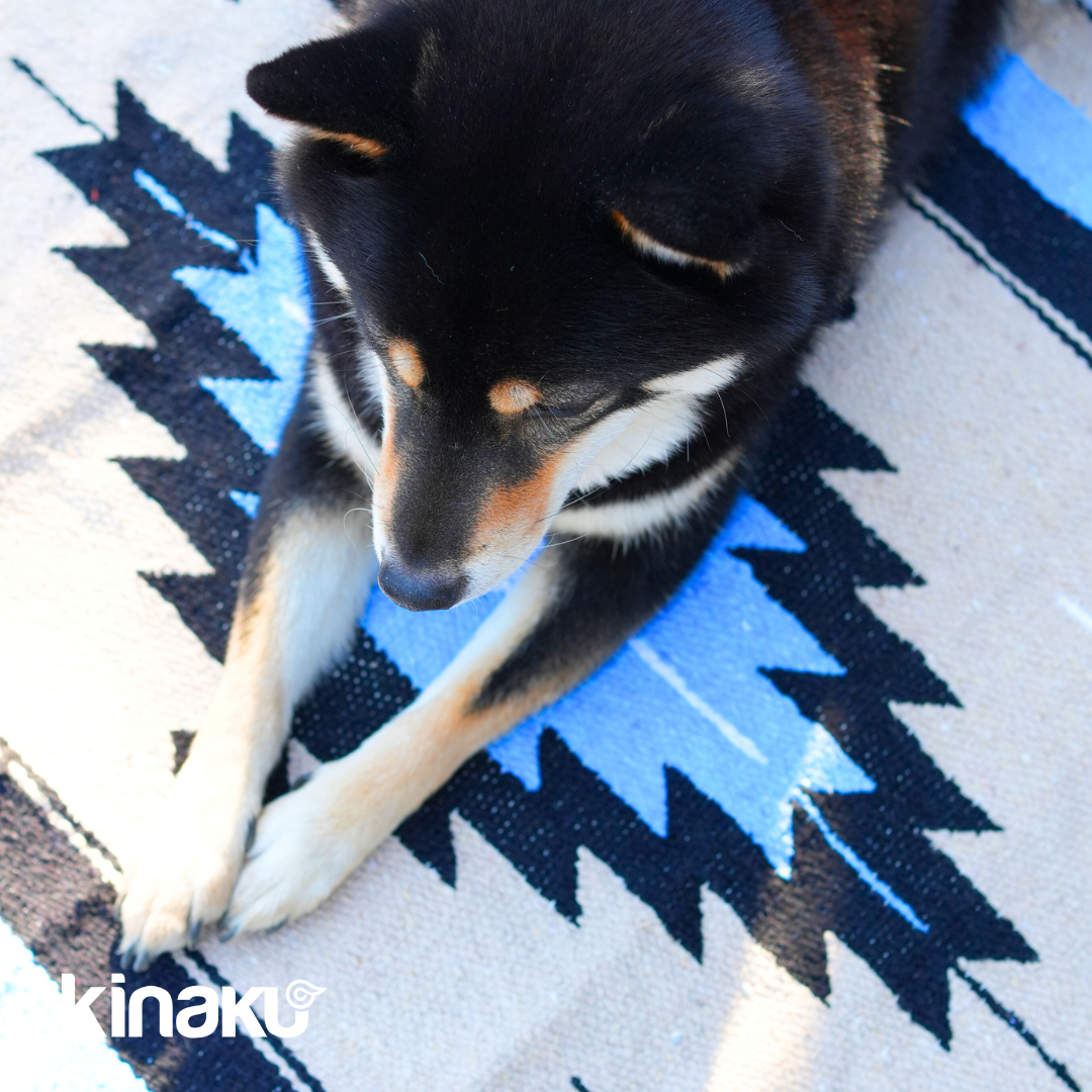 Kinakú Sarape couverture TOLUCA avec sangle