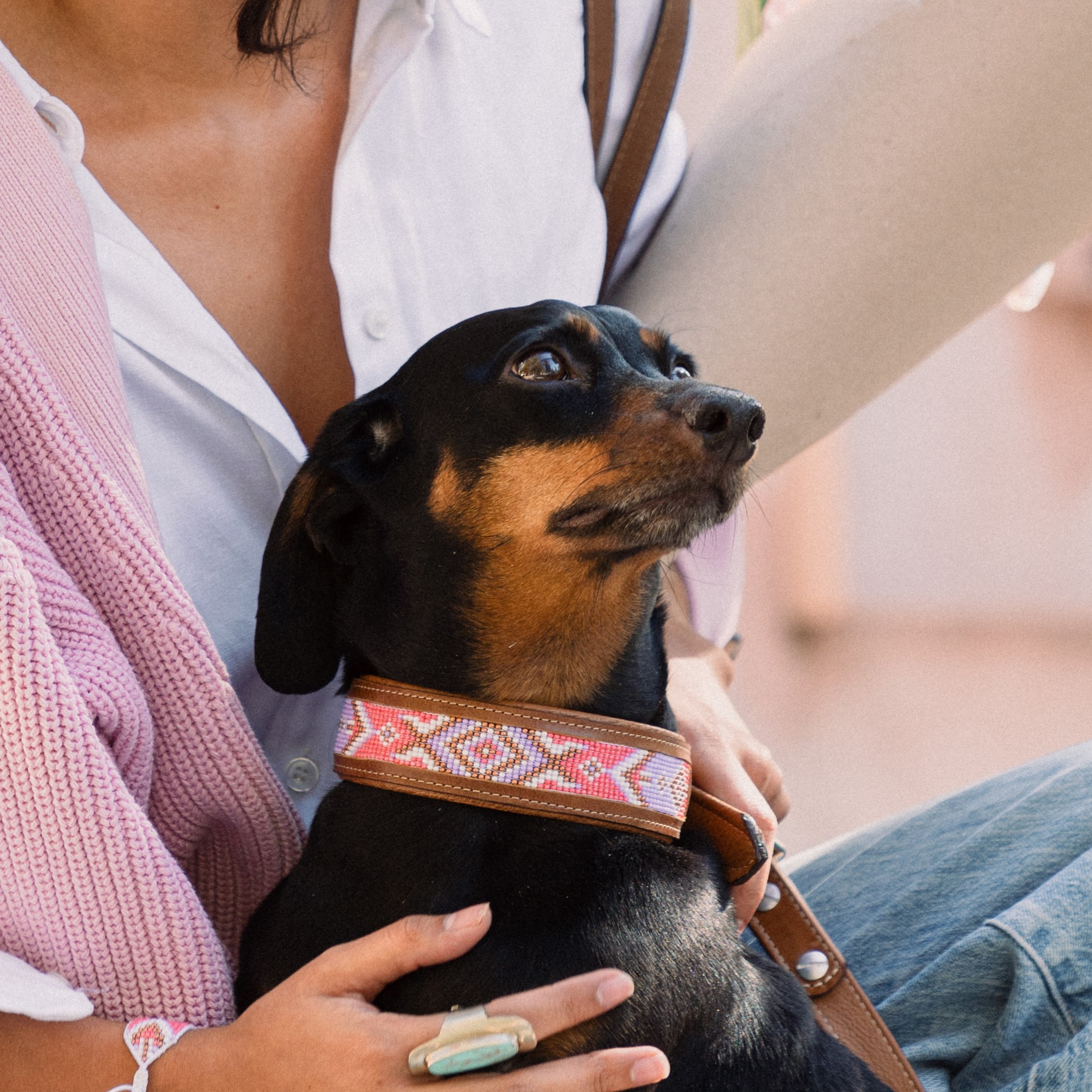 Kinakú Hundehalsband JOYA L