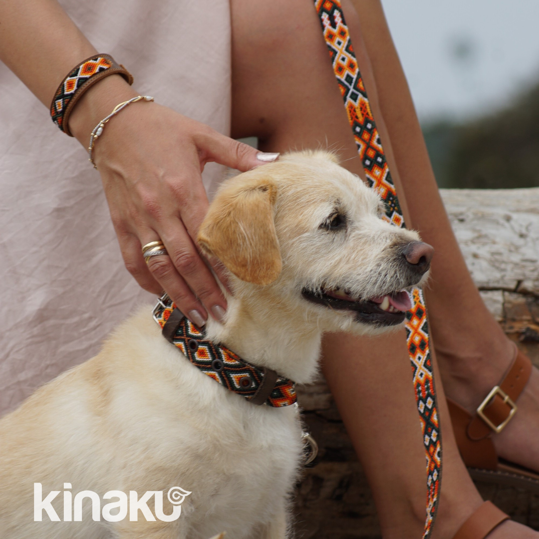 Kinakú Hundehalsband Bacalar XS