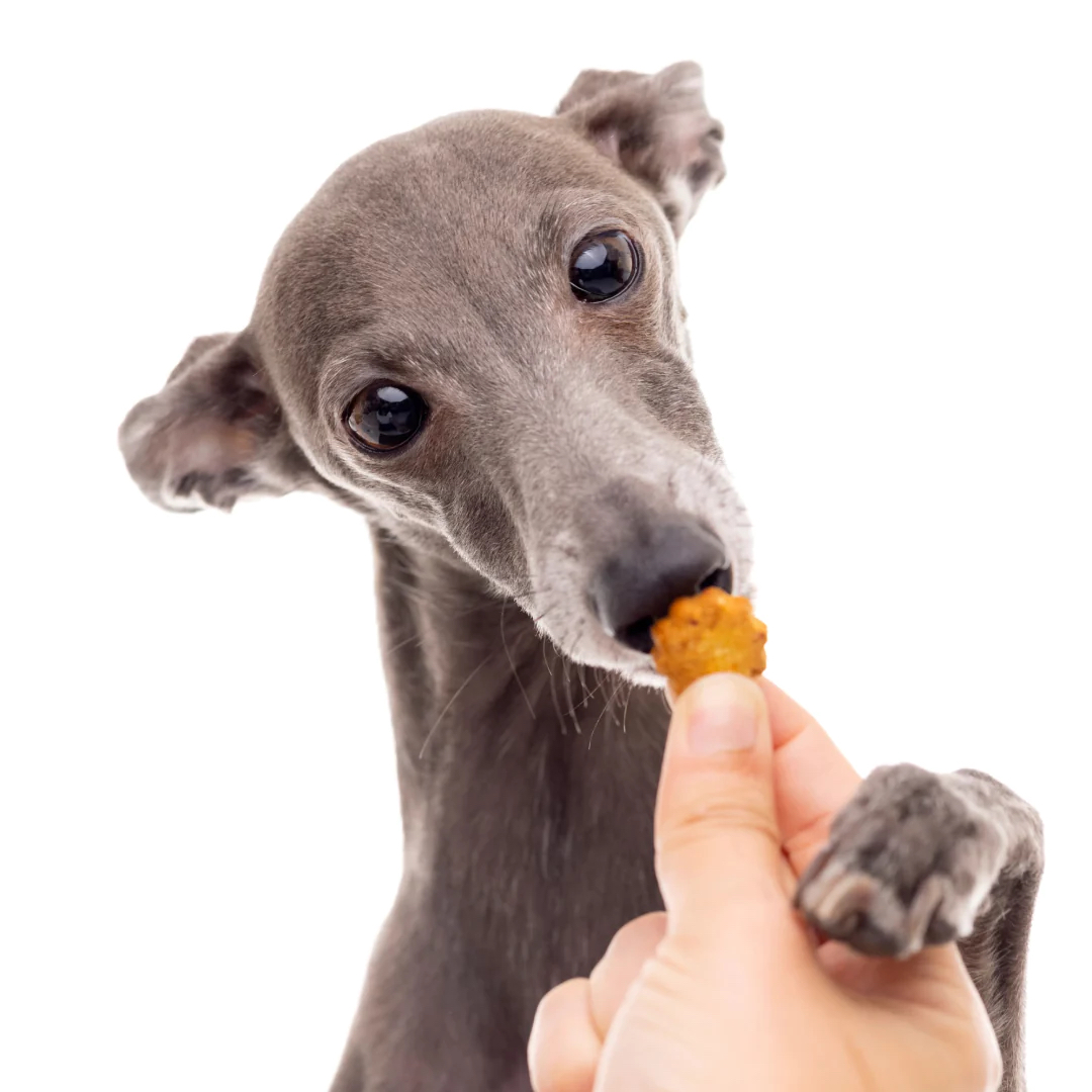 LOONAWELL Multivitamin 