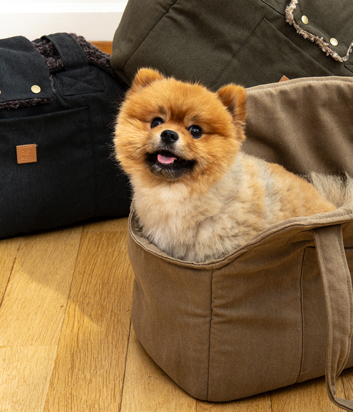 Pet & Co. Lucky Canvas