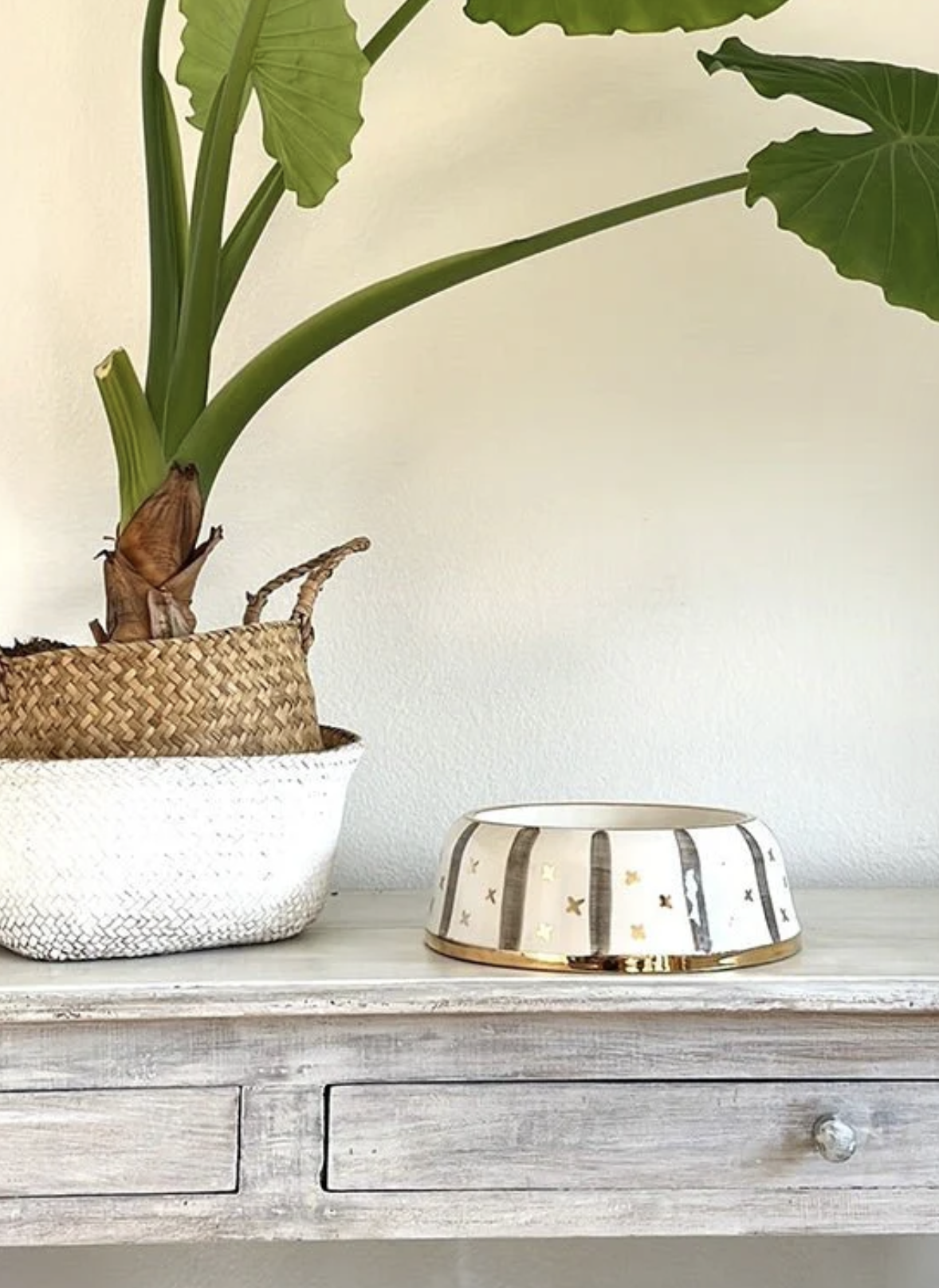 Yummy- Fressnapf in Keramik