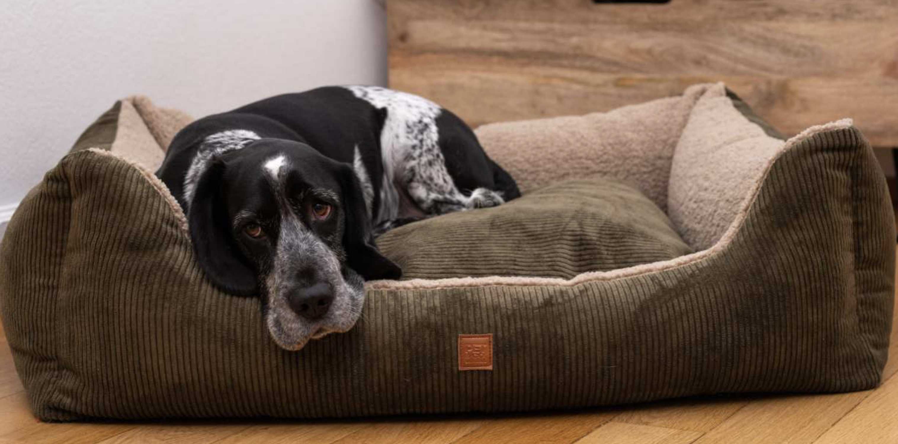 Pet & Co. Kingston - Cord Double Face